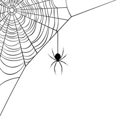 Vector illustration of a corner web/spider design.