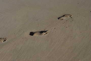 footprints in a sandy beach