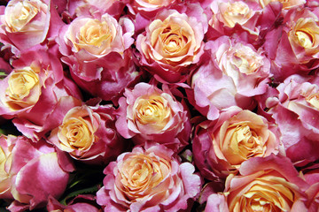 A bouquet of pink roses.