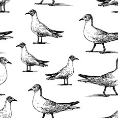 Seamless background of walking seagulls