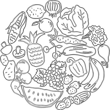 Vector image of various fruit and vegetables