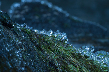  Winter Scene for Christmas card. 