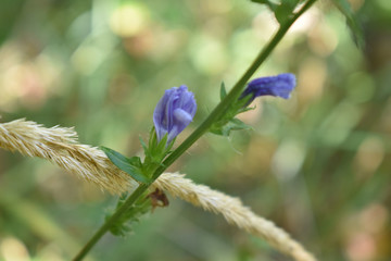 Осенний лес