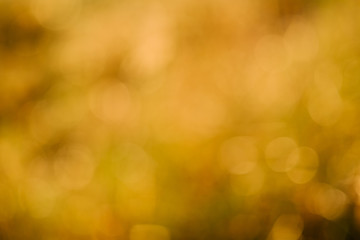 abstract nature background with blurry bokeh defocused lights