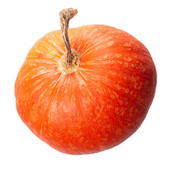 Isolate pumpkin on a white background ripe vegetable