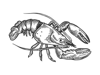 Image of Lobster sea animal engraving vector illustration. Scratch board style imitation. Black and white hand drawn image. printed on Printed Glass Splashbacks