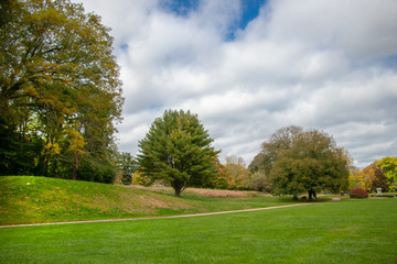 Fototapeta na wymiar beautiful public park with green lawn and pretty sky