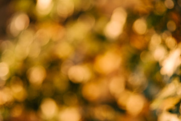 abstract nature background with blurry bokeh defocused lights