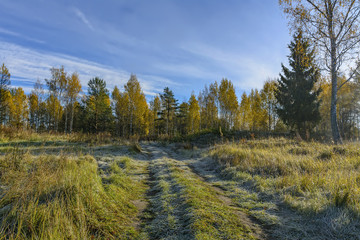 Autumn frosty morning in the forest. Russia.