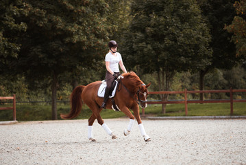 Dressurreiter im lockeren Galopp