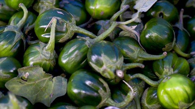 Solanum gilo, Scarlet eggplant, for sale at the free market, panoramic plan