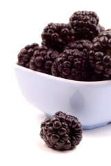 Bowl Of Blackberries Close Up