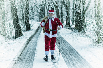 Santa in the Forest