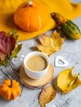 Tea Cup with Coffee Autumn Time Bakery Pretzel Toned Photo Knitting Scarf Blanket Yellow Leaves Gray Background