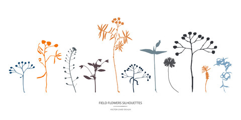 Vector silhouettes collection. Set of field flowers, herbs.