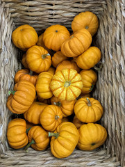 Fresh ripe raw small pumpkins in a decorative basket on market stall. Top view. Can be used as a background.