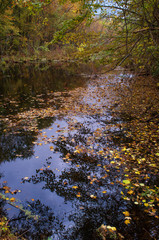 Obraz na płótnie Canvas Autumn Colorful Pond