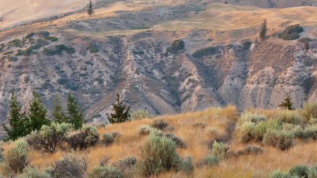 View over BC grasslands and dune at Farwell Canyon, British Columbia, Canada.