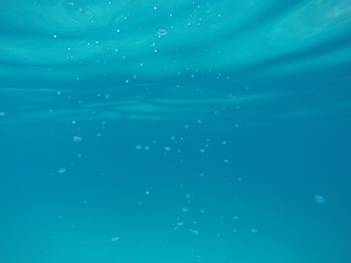 Naklejka premium underwater