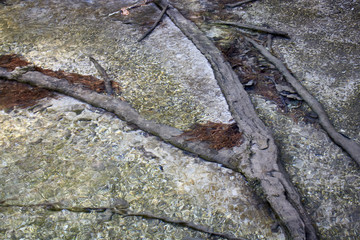Holz unter Wasser Baum Bewegung Steine