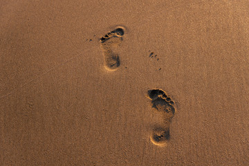 Footsteps on the beach.