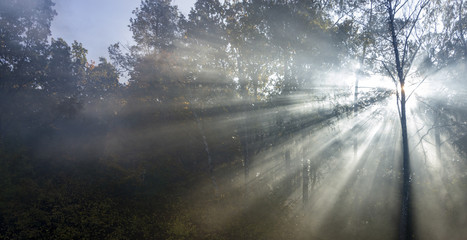 Morning freshness in a beautiful autumn face, a ray of sunshine passes through the branches of...