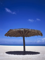 Parasol at the beach