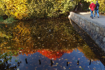 Jesienne kolory w parku- odbicie w wodzie kolorowych drzew i spacerujący w parku ludzie