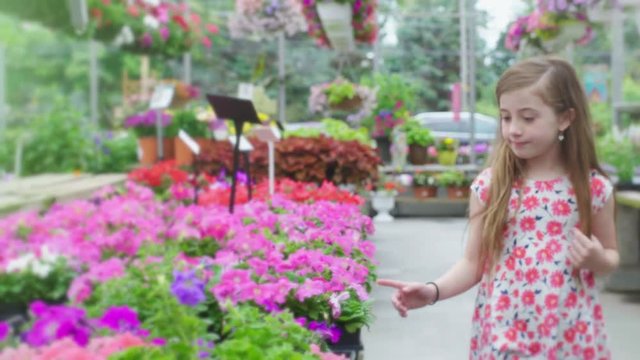 Young Girl Chooses Flower and Smells. a slow motion view of a girl walking down a line of flowers choosing some to smell and smile at camera