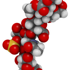 Chondroitin sulphate (short fragment). Important component of cartilage. 3D rendering. Atoms are represented as spheres with conventional color coding.