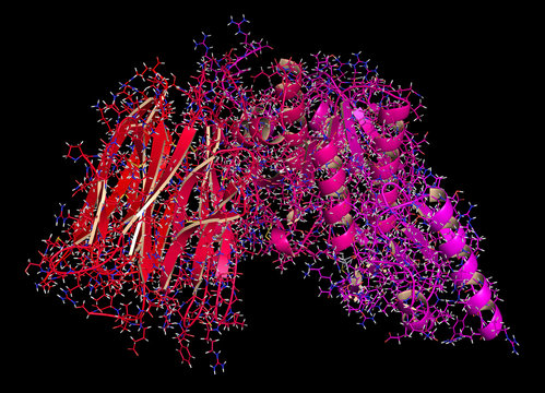 Proprotein convertase subtilisin kexin type 9 (PCSK9) protein. Target of multiple investigational cholesterol lowering drugs. 3D rendering, cartoon + line representation.