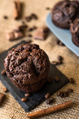 tasty chocolate muffin
