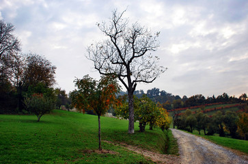 Obraz premium Paesaggio autunnale