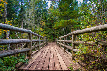 Fototapeta na wymiar Wooden bridge in the forest