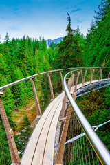 Arc of the Capsilano Cliffwalk Bridge in Capsilano Park Near Vancouver, British Columbia, Canada