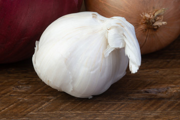 close up garlic