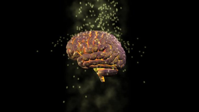 Glowing brain and particles of energy.3d animation. Vertical flow