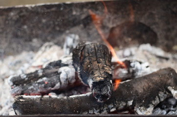 fire