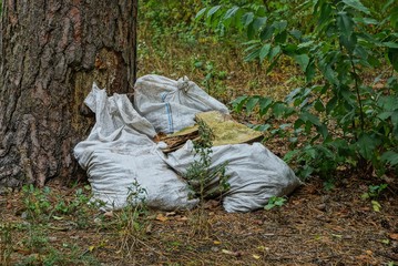 white dirty bags of trash near a tree in the grass in the forest