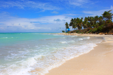 Beach of Ilha de Itamaracá: blue sky, turquoise water, palm trees, rocks.