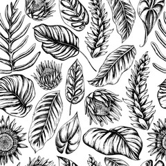 Vector seamless pattern of palm leaves and calathea. Hand drawn vector illustration