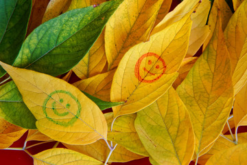 Emoticons on yellow autumn leaves.