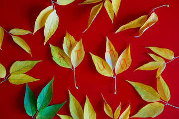 Composition of yellow autumn leaves with the name of the season on a red background.
