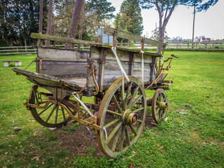 Fototapeta na wymiar A very old carriage parked at garden