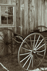 Vintage Horse Buggy Wagon