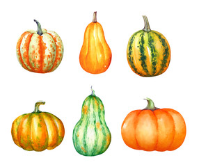 A collection of watercolor hand drawn colorful pumpkins