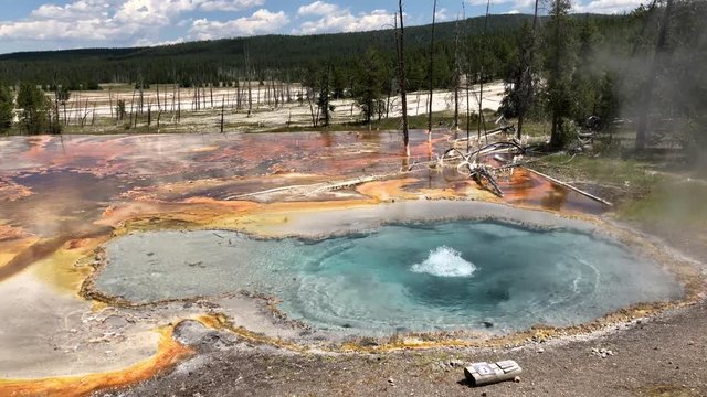 Stunning view of the Celestine Pool boiling at the Lower Basin geyser, Yellowstone National Park.