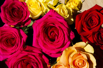 mixed colored roses