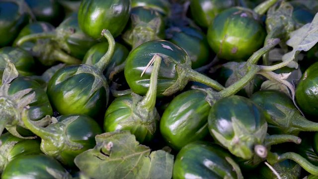 Solanum gilo, Scarlet eggplant, for sale at the free market, panoramic plan