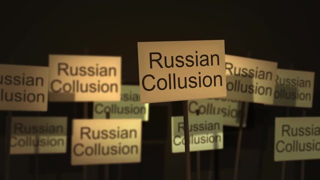 Picket Sign Protest Series - Russian Collusion Version